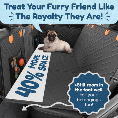 Trellivo™ Hard Bottom Car Seat for Pets