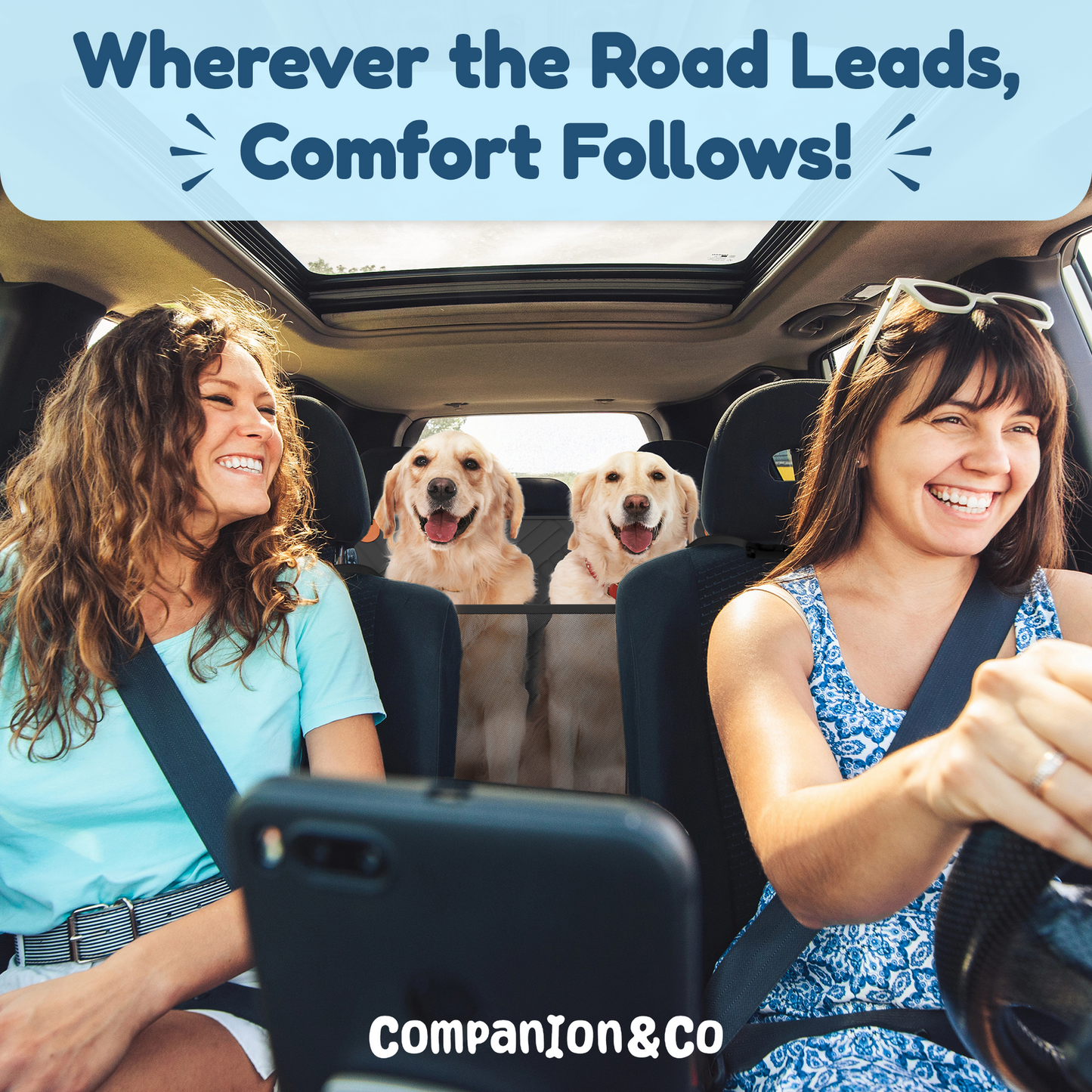 Trellivo™ Hard Bottom Car Seat for Pets