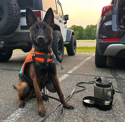 Trellivo™ 2-in-1 Pet Travel Water Bowl & Feeder, 95oz, Portable & Sturdy